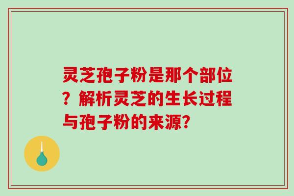 灵芝孢子粉是那个部位？解析灵芝的生长过程与孢子粉的来源？