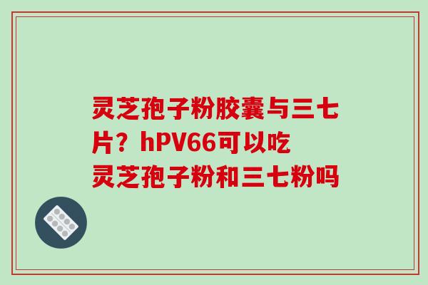 灵芝孢子粉胶囊与三七片？hPV66可以吃灵芝孢子粉和三七粉吗