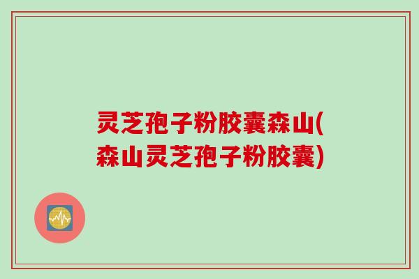灵芝孢子粉胶囊森山(森山灵芝孢子粉胶囊)
