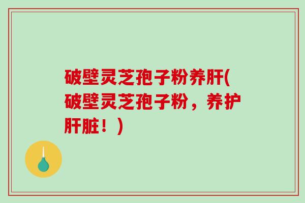 破壁灵芝孢子粉养肝(破壁灵芝孢子粉，养护肝脏！)