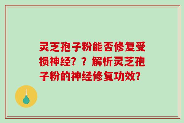 灵芝孢子粉能否修复受损神经？？解析灵芝孢子粉的神经修复功效？