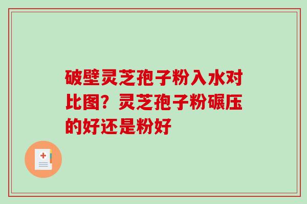 破壁灵芝孢子粉入水对比图？灵芝孢子粉碾压的好还是粉好