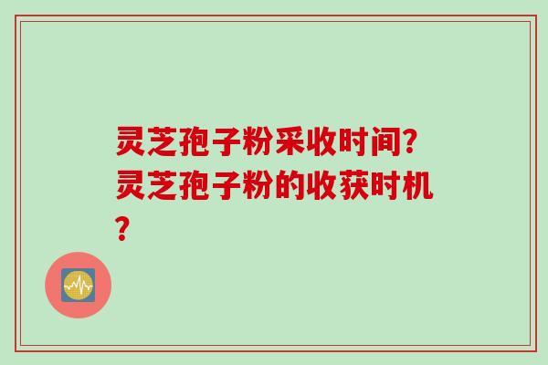 灵芝孢子粉采收时间？灵芝孢子粉的收获时机？