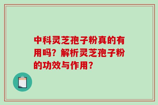 中科灵芝孢子粉真的有用吗？解析灵芝孢子粉的功效与作用？