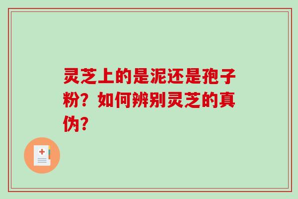 灵芝上的是泥还是孢子粉？如何辨别灵芝的真伪？