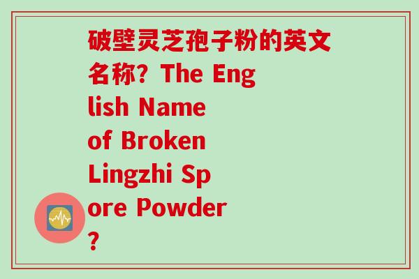 破壁灵芝孢子粉的英文名称？The English Name of Broken Lingzhi Spore Powder？