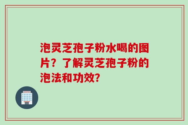 泡灵芝孢子粉水喝的图片？了解灵芝孢子粉的泡法和功效？