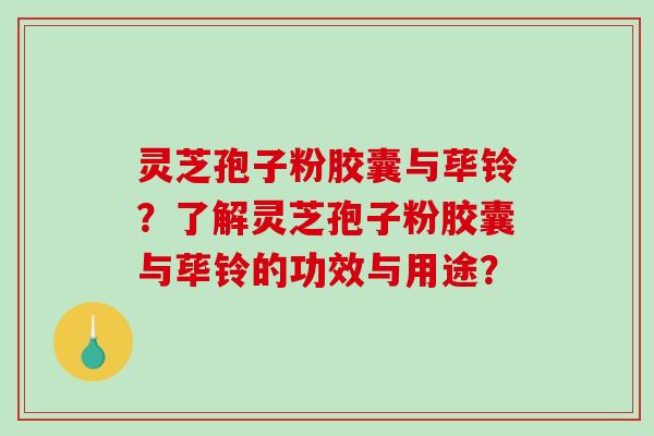 灵芝孢子粉胶囊与荜铃？了解灵芝孢子粉胶囊与荜铃的功效与用途？