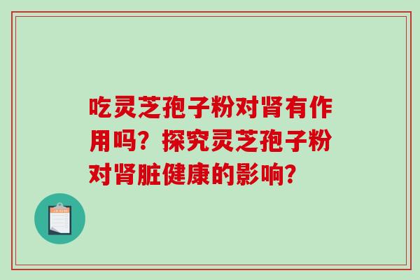 吃灵芝孢子粉对肾有作用吗？探究灵芝孢子粉对肾脏健康的影响？