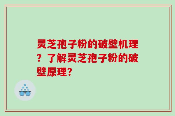 灵芝孢子粉的破壁机理？了解灵芝孢子粉的破壁原理？