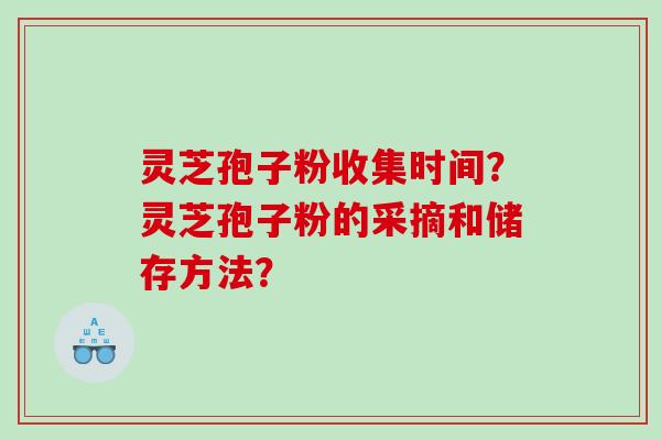 灵芝孢子粉收集时间？灵芝孢子粉的采摘和储存方法？
