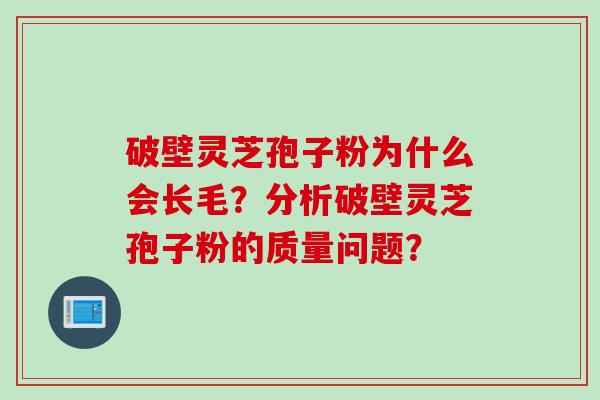 破壁灵芝孢子粉为什么会长毛？分析破壁灵芝孢子粉的质量问题？