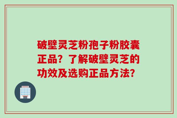 破壁灵芝粉孢子粉胶囊正品？了解破壁灵芝的功效及选购正品方法？