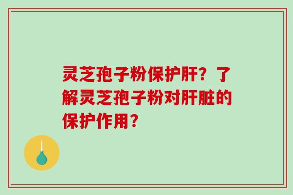 灵芝孢子粉保护肝？了解灵芝孢子粉对肝脏的保护作用？