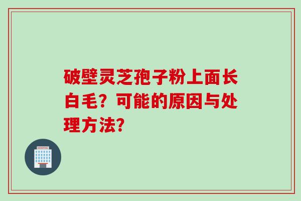 破壁灵芝孢子粉上面长白毛？可能的原因与处理方法？