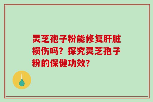 灵芝孢子粉能修复肝脏损伤吗？探究灵芝孢子粉的保健功效？