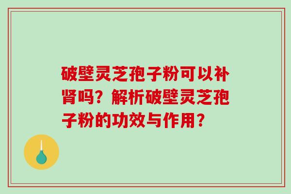 破壁灵芝孢子粉可以补肾吗？解析破壁灵芝孢子粉的功效与作用？