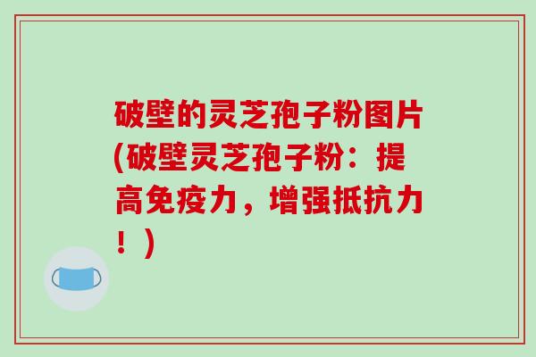 破壁的灵芝孢子粉图片(破壁灵芝孢子粉：提高免疫力，增强抵抗力！)