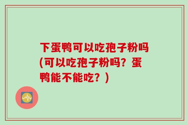 下蛋鸭可以吃孢子粉吗(可以吃孢子粉吗？蛋鸭能不能吃？)