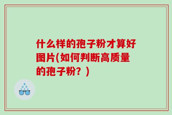 什么样的孢子粉才算好图片(如何判断高质量的孢子粉？)