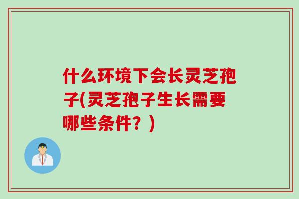 什么环境下会长灵芝孢子(灵芝孢子生长需要哪些条件？)