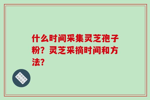 什么时间采集灵芝孢子粉？灵芝采摘时间和方法？