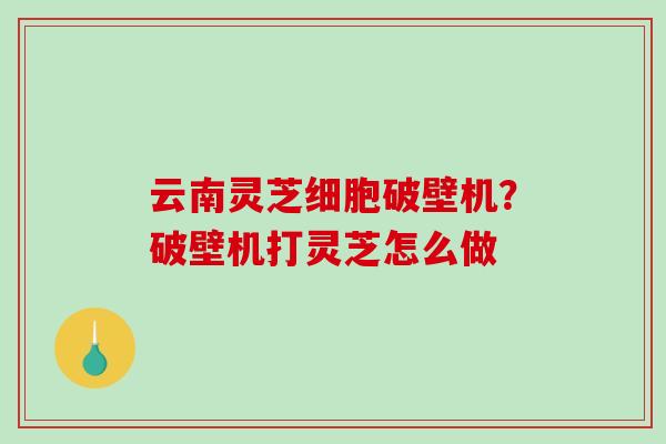 云南灵芝细胞破壁机？破壁机打灵芝怎么做