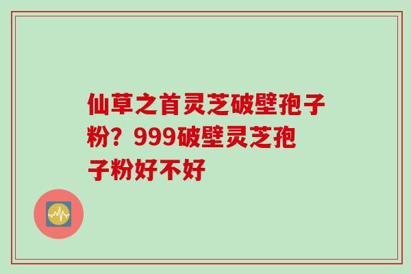 仙草之首灵芝破壁孢子粉？999破壁灵芝孢子粉好不好