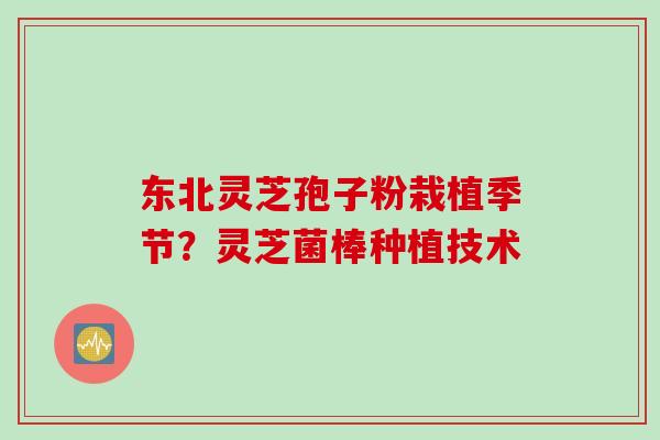 东北灵芝孢子粉栽植季节？灵芝菌棒种植技术