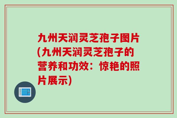 九州天润灵芝孢子图片(九州天润灵芝孢子的营养和功效：惊艳的照片展示)