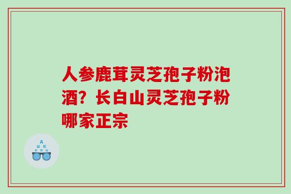 人参鹿茸灵芝孢子粉泡酒？长白山灵芝孢子粉哪家正宗