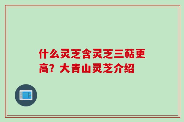 什么灵芝含灵芝三萜更高？大青山灵芝介绍