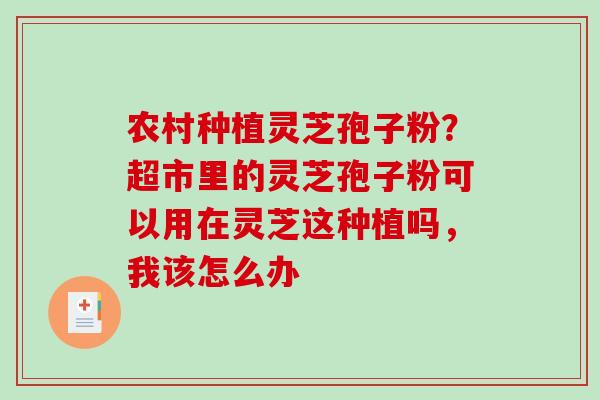 农村种植灵芝孢子粉？超市里的灵芝孢子粉可以用在灵芝这种植吗，我该怎么办