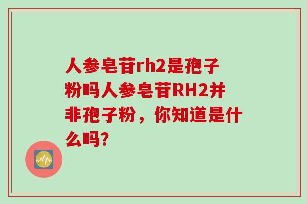 人参皂苷rh2是孢子粉吗人参皂苷RH2并非孢子粉，你知道是什么吗？