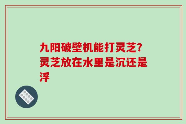 九阳破壁机能打灵芝？灵芝放在水里是沉还是浮