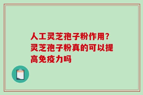 人工灵芝孢子粉作用？灵芝孢子粉真的可以提高免疫力吗