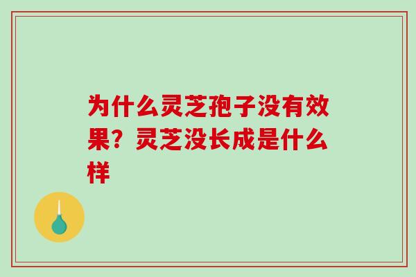 为什么灵芝孢子没有效果？灵芝没长成是什么样