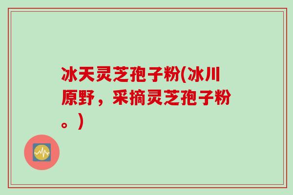 冰天灵芝孢子粉(冰川原野，采摘灵芝孢子粉。)