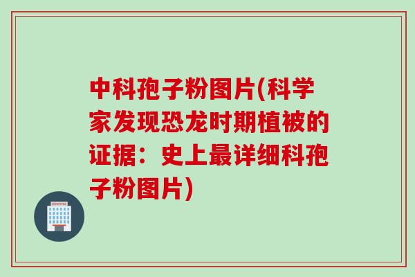 中科孢子粉图片(科学家发现恐龙时期植被的证据：史上最详细科孢子粉图片)