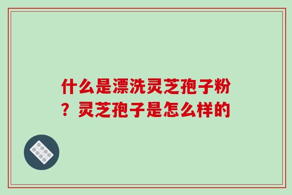 什么是漂洗灵芝孢子粉？灵芝孢子是怎么样的