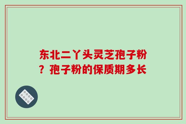 东北二丫头灵芝孢子粉？孢子粉的保质期多长