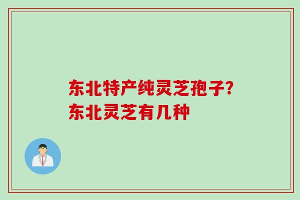 东北特产纯灵芝孢子？东北灵芝有几种