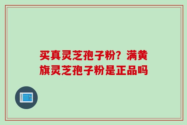 买真灵芝孢子粉？满黄旗灵芝孢子粉是正品吗