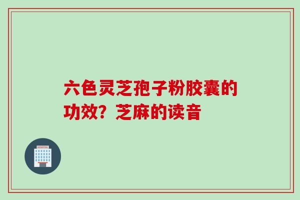 六色灵芝孢子粉胶囊的功效?芝麻的读音 六色灵芝孢子粉胶囊的功效?芝麻的读音
