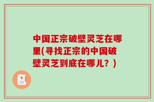 中国正宗破壁灵芝在哪里(寻找正宗的中国破壁灵芝到底在哪儿？)