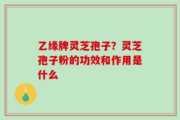 乙缘牌灵芝孢子？灵芝孢子粉的功效和作用是什么