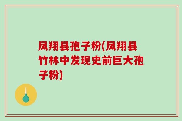 凤翔县孢子粉(凤翔县竹林中发现史前巨大孢子粉)