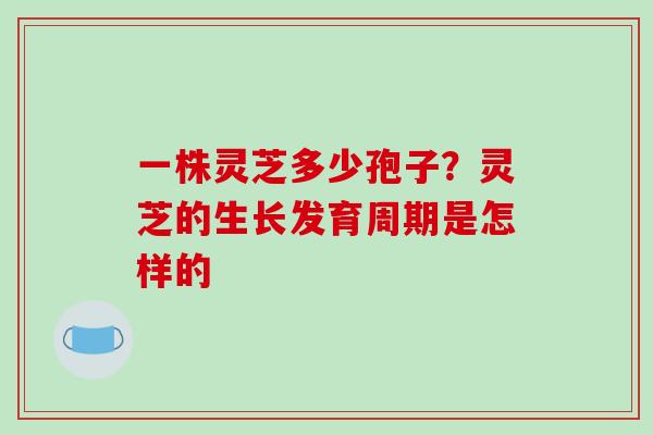一株灵芝多少孢子？灵芝的生长发育周期是怎样的