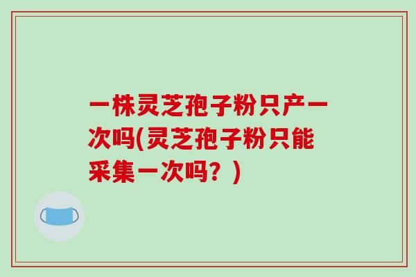 一株灵芝孢子粉只产一次吗(灵芝孢子粉只能采集一次吗？)