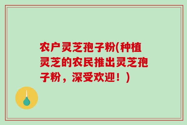 农户灵芝孢子粉(种植灵芝的农民推出灵芝孢子粉，深受欢迎！)